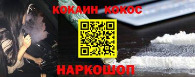 шишки Гай