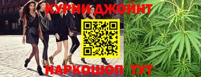 шишки Гай