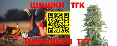 шишки Гай